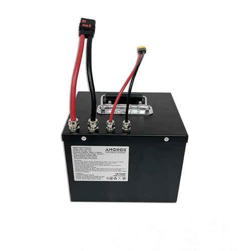 Amorge 72v 24AH Kugoo/Tuttio battery